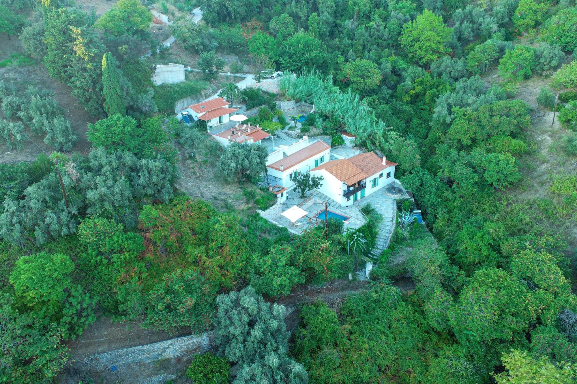 Olea Skopelos Villas With Swimming Pools & Sea View Panormos (Skopelos) Exterior foto